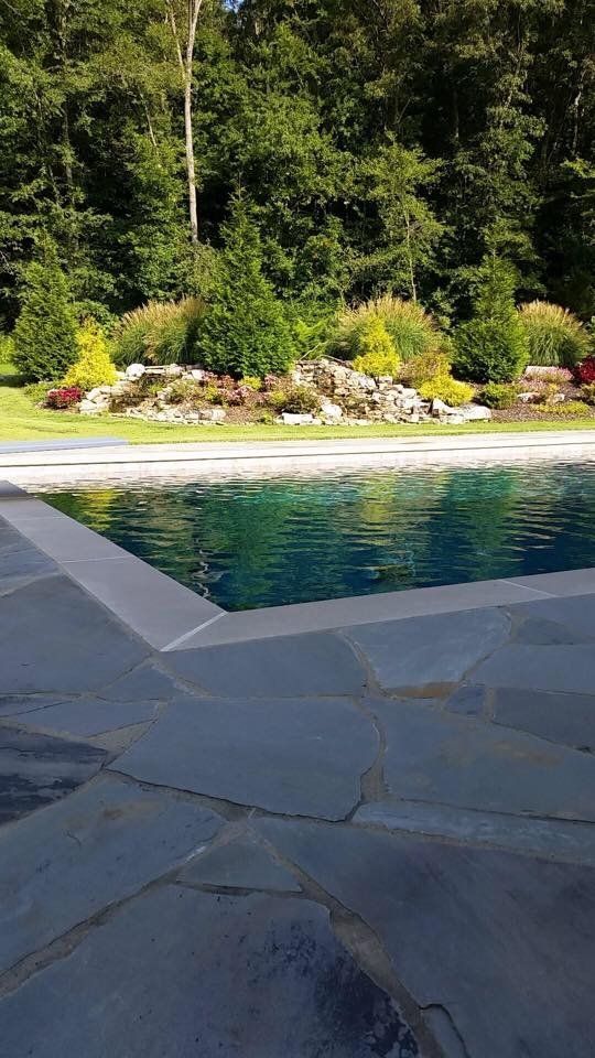 A large swimming pool surrounded by trees and rocks in a backyard.