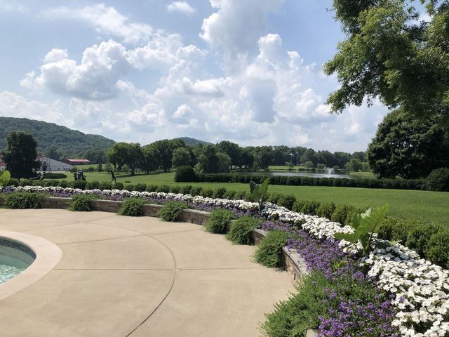 A concrete walkway surrounded by flowers and bushes in a park.