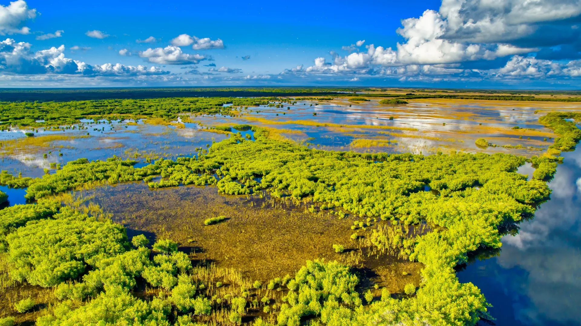 Aerial view of the Everglades river of grass ecosystem near Miami Florida