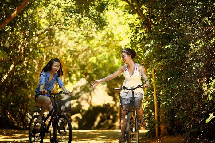 Bike riding in Key West, rent a bike on your trip and spend the day learning about new places. You will encounter the Key West butterfly, to the point the key west butterfly will at times even land on you.  Go wine tasting, go visit the southernmost point