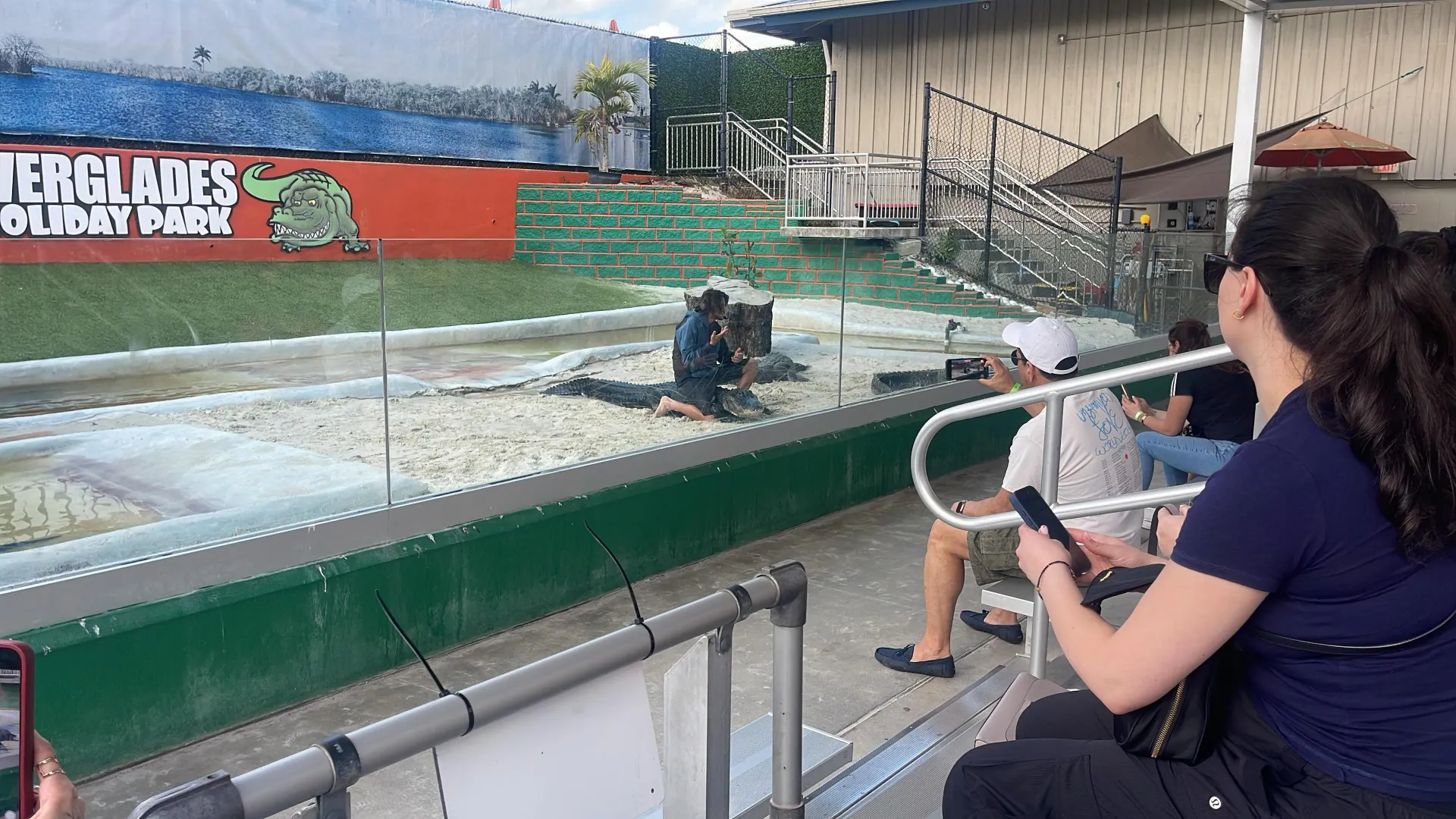 Alligator show during Miami Everglades tour with visitors watching live demonstration