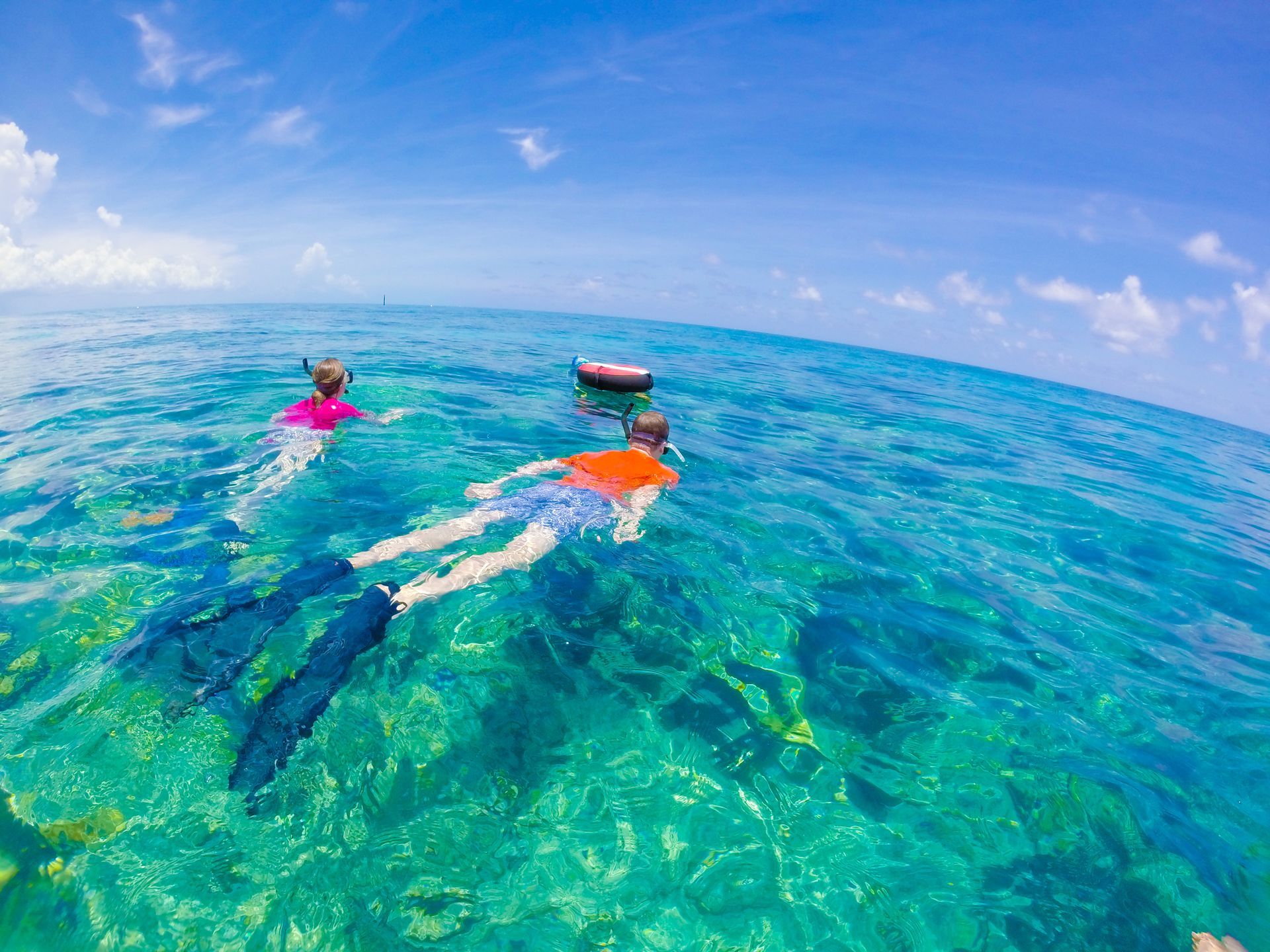 Key West Sightseeing Tours Snorkeling