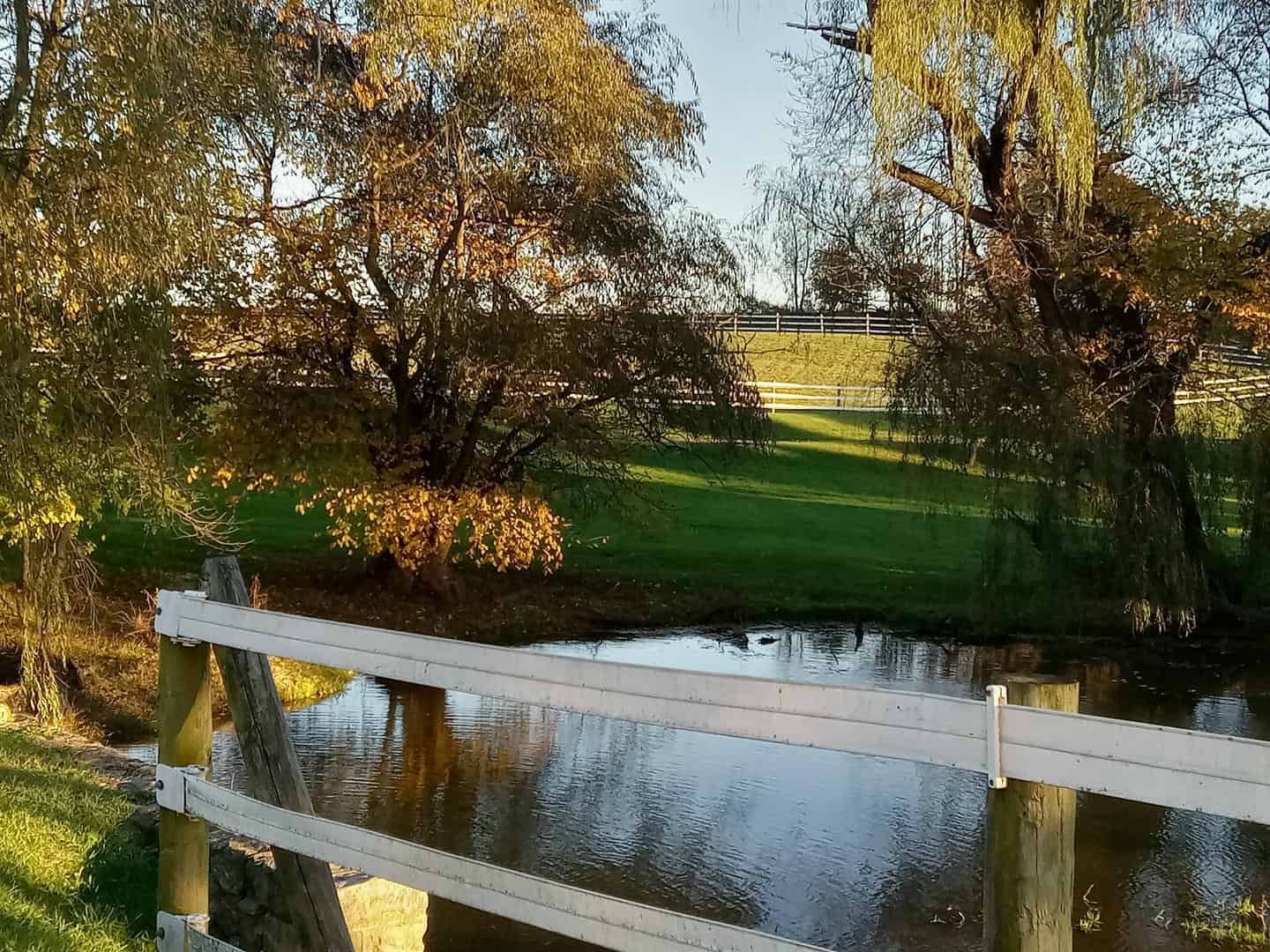 A white fence surrounds a body of water with trees in the background