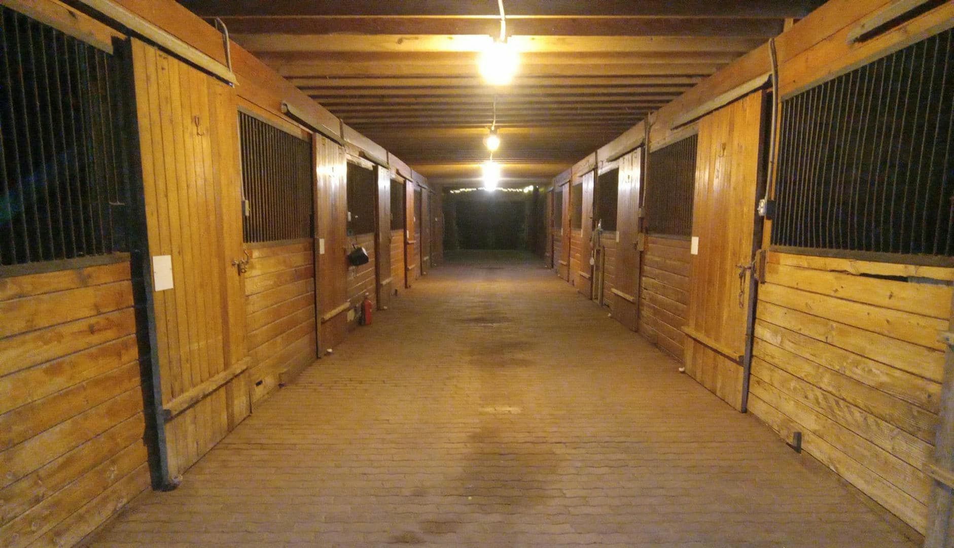 A horse is sticking its head out of a fence in a stable.
