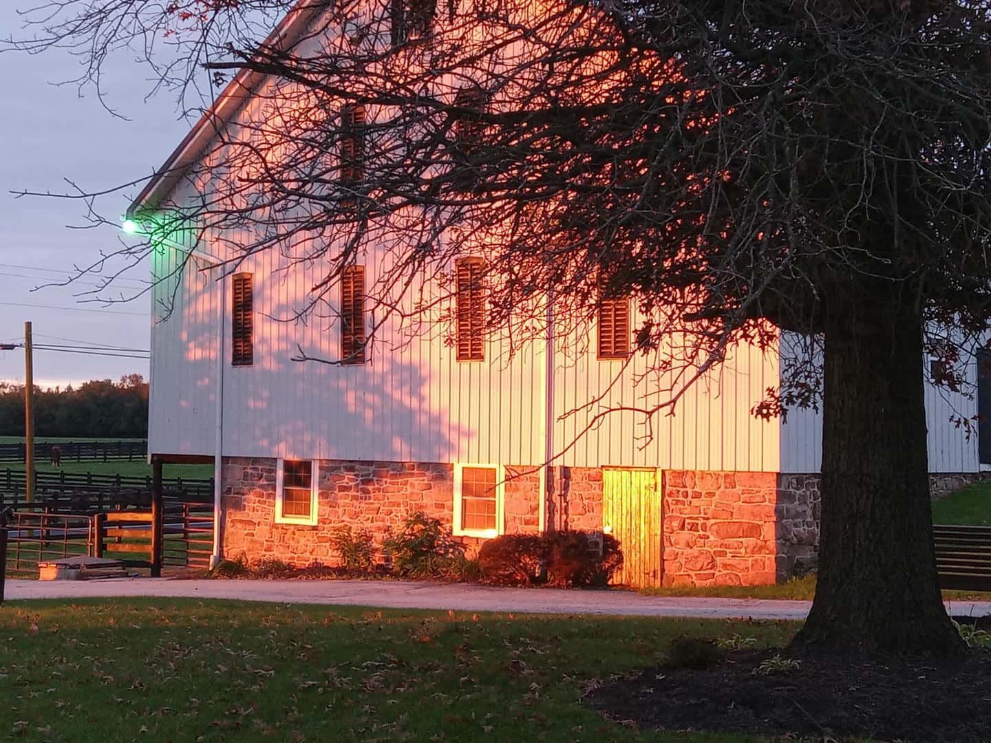 A barn is lit up at night with a tree in front of it