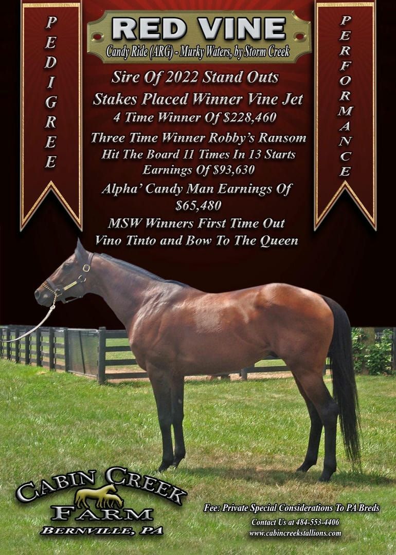 A brown horse is standing in a grassy field.