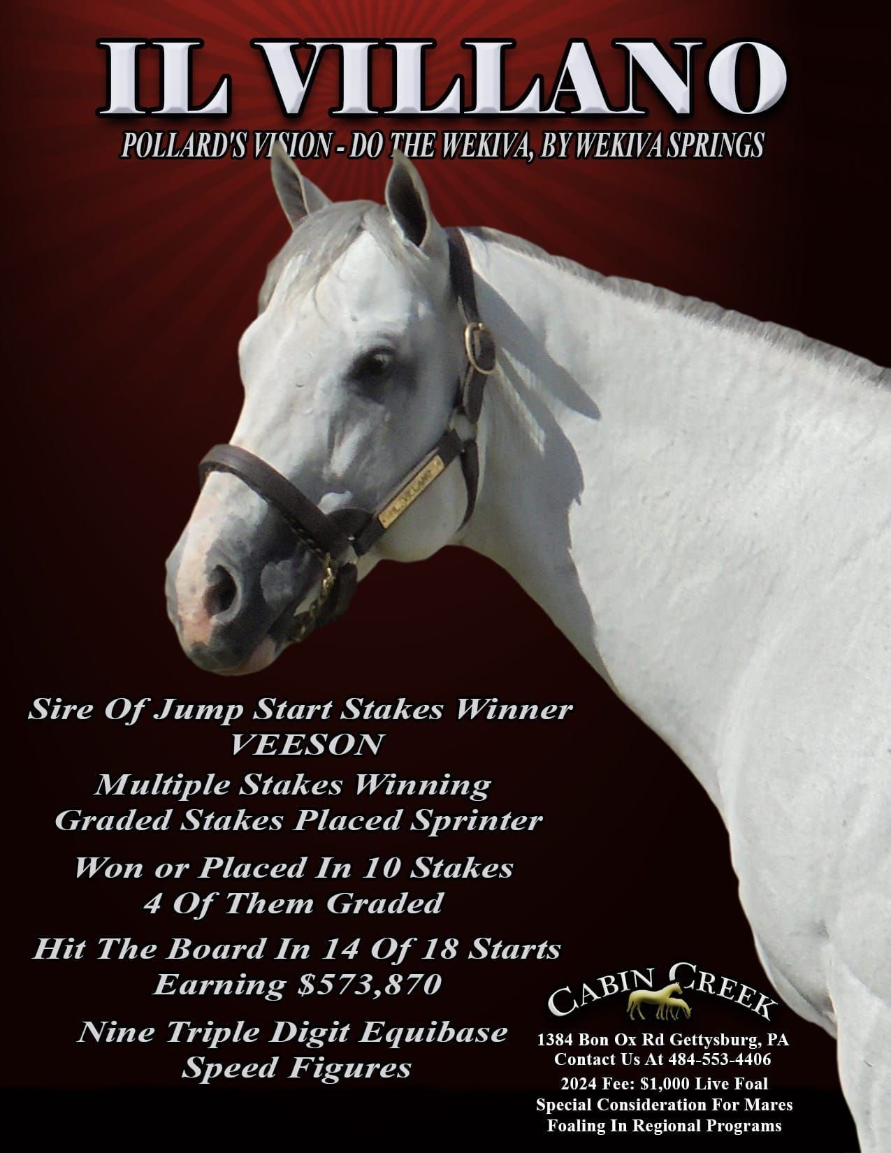 An advertisement for a horse named il villano
