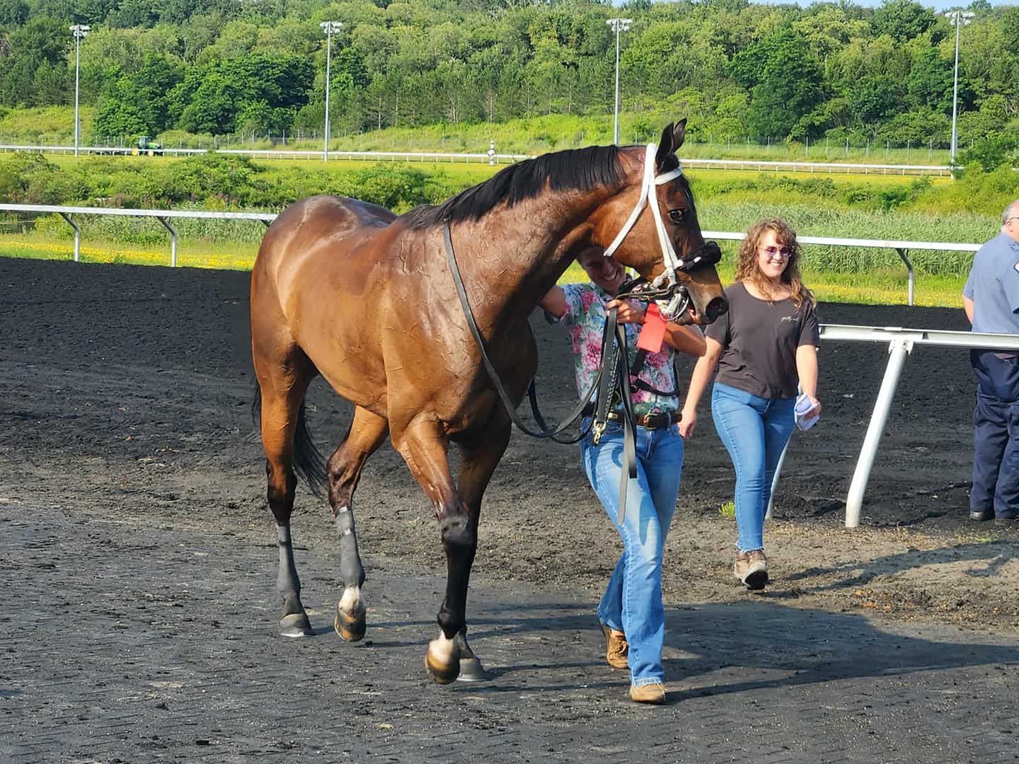 A man and a woman are walking a brown horse