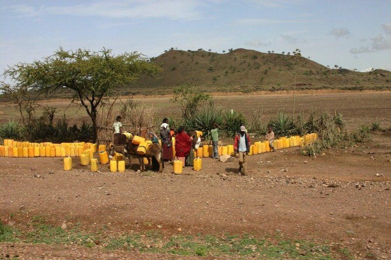 A group of people are gathered around a pile of yellow barrels