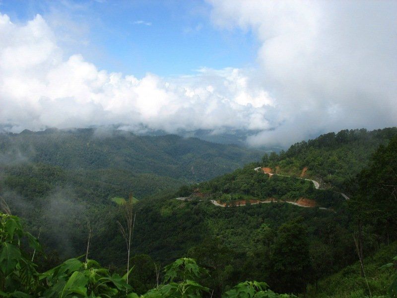 A view of a mountain covered in trees and clouds