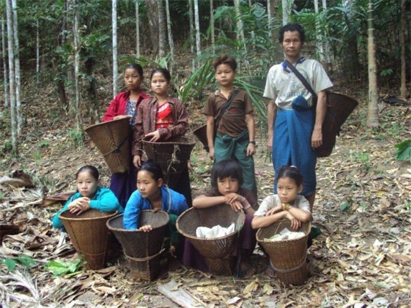 A group of people with baskets in the woods