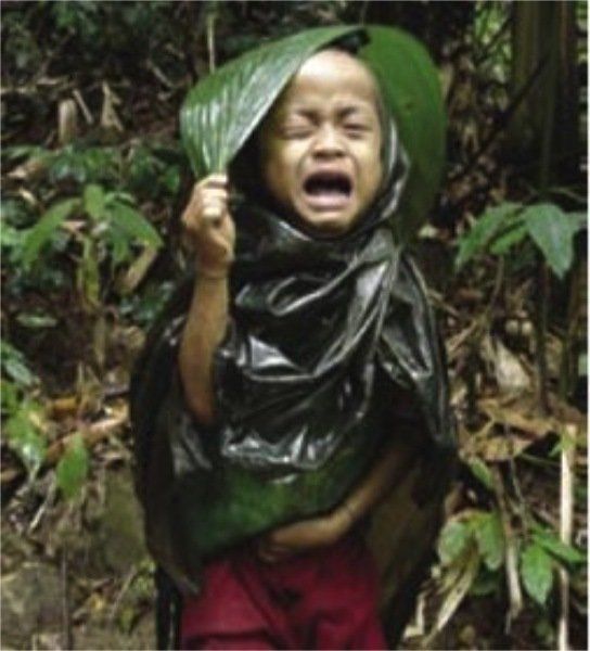 A little boy is crying while holding a leaf over his head