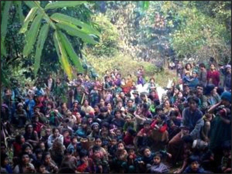 A large group of people are gathered in a forest.