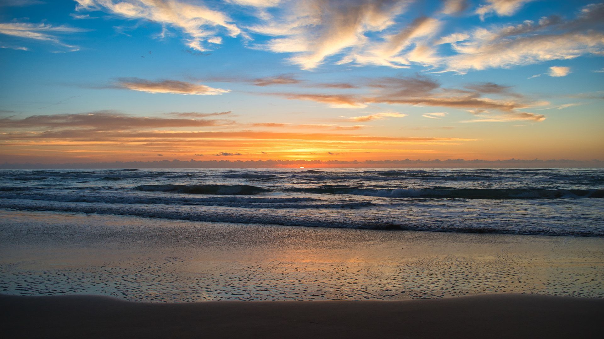 A fountain in a park with palm trees in the background