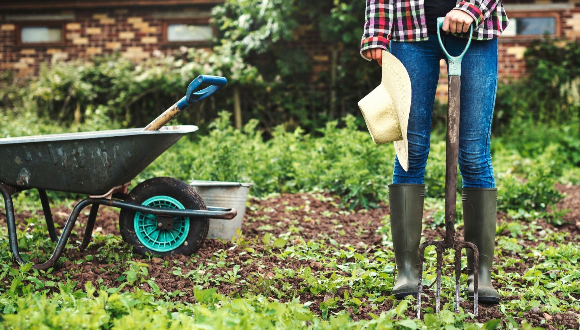 winter gardening