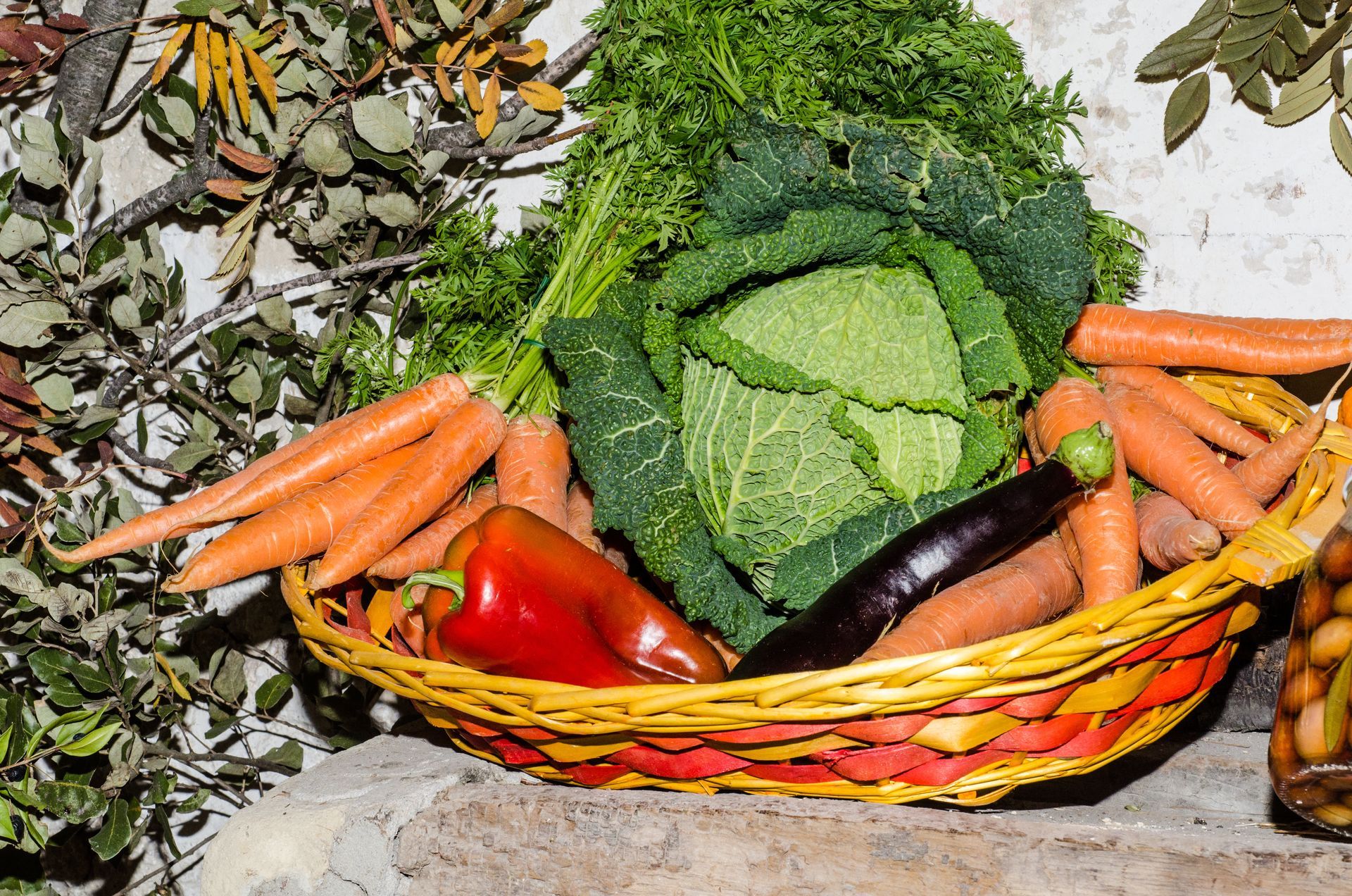 Basket of fresh vegetables including cabbage, carrots, and peppers in a garden.