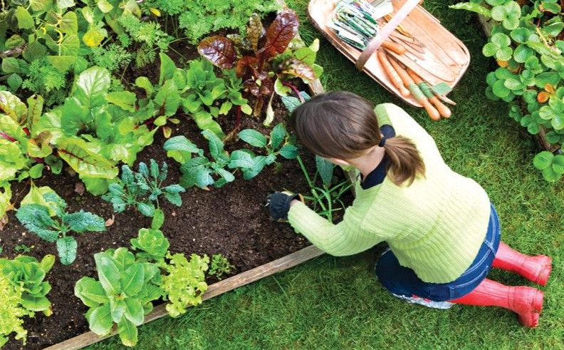woman kneeling gardening
