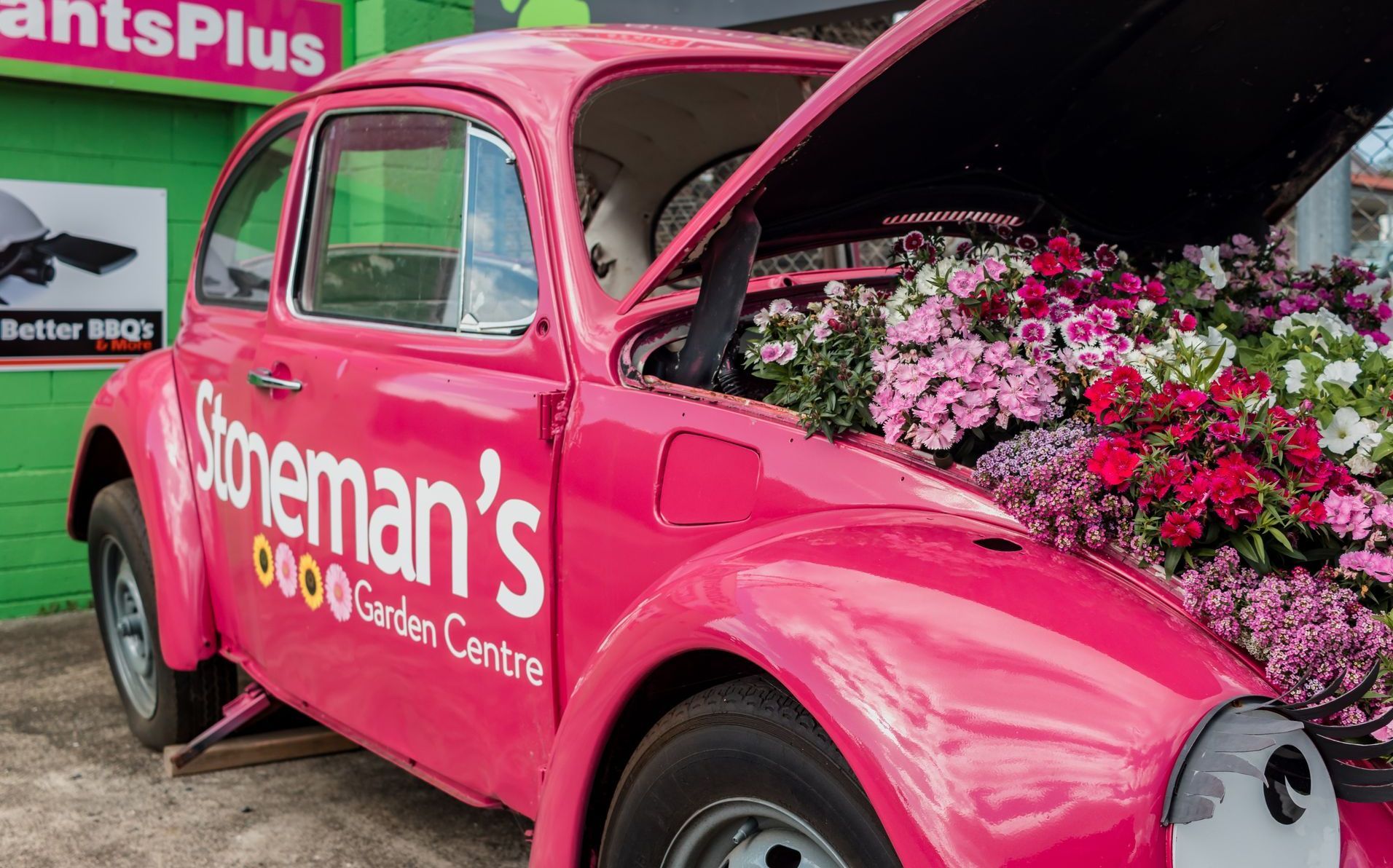 stonemans vw