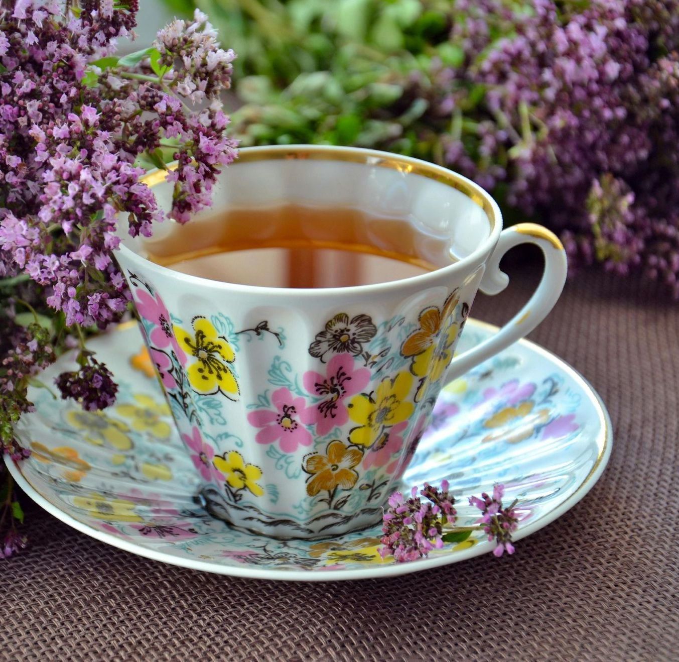 cup of herbal tea with herb plnt