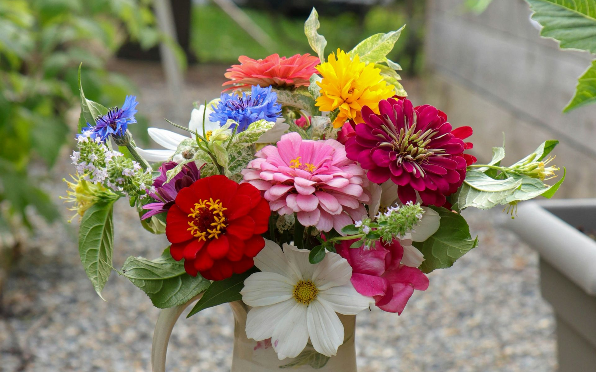 summer flowers in a jug on a table