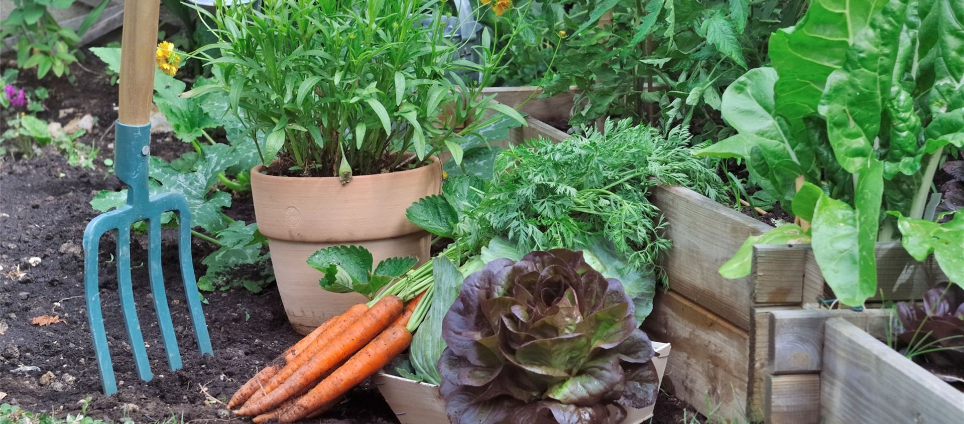 vegetable garden with pitchfork