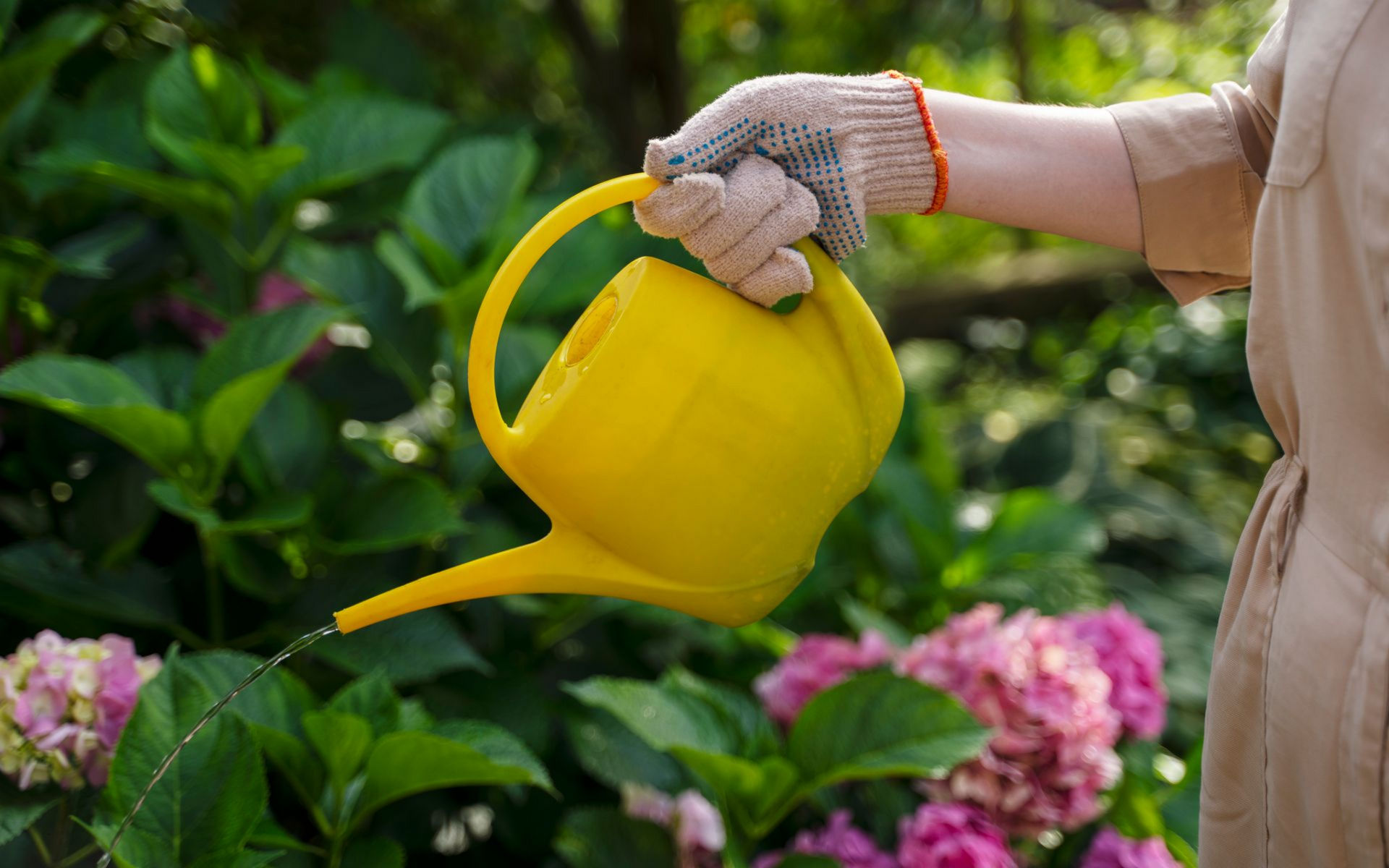 woman watering garden with yellow water can