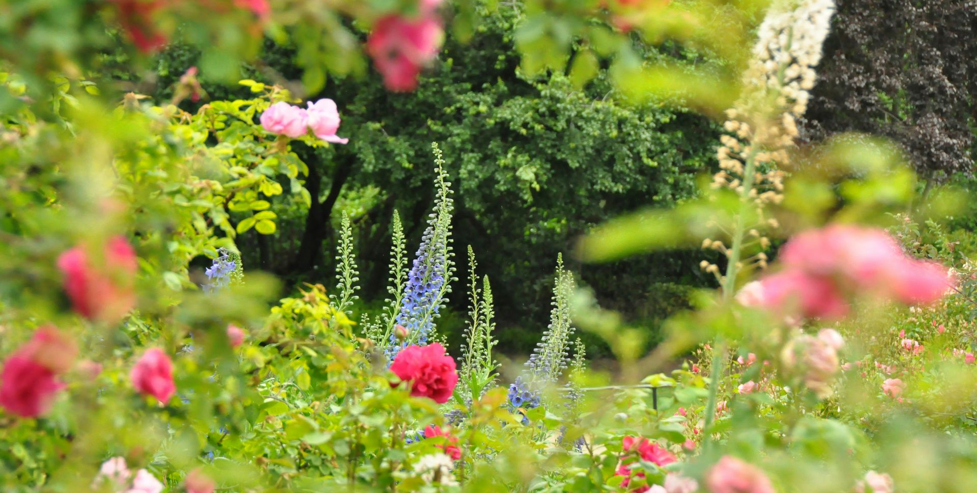 spring flower garden