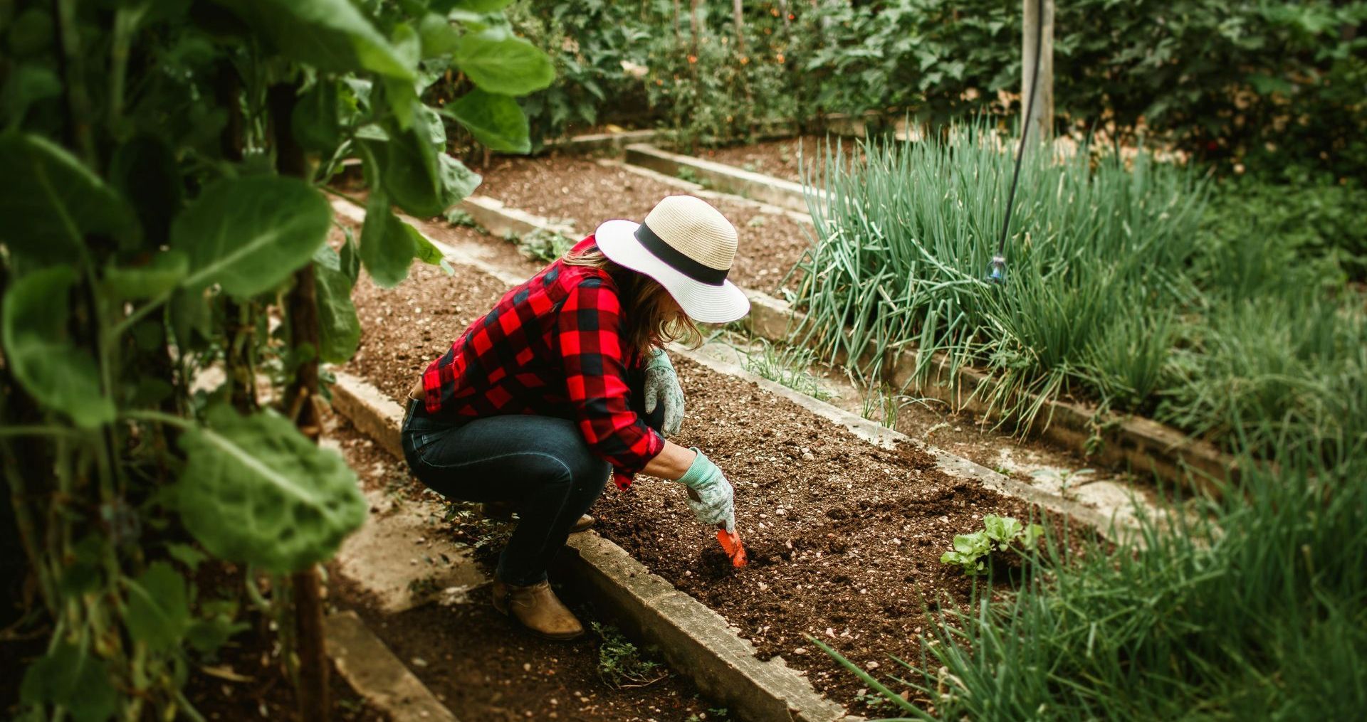 woman gardening