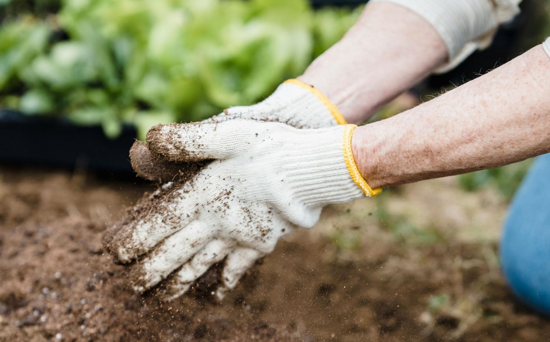 working in garden soil
