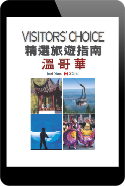 Visitor's Choice Chinese iPad eBook