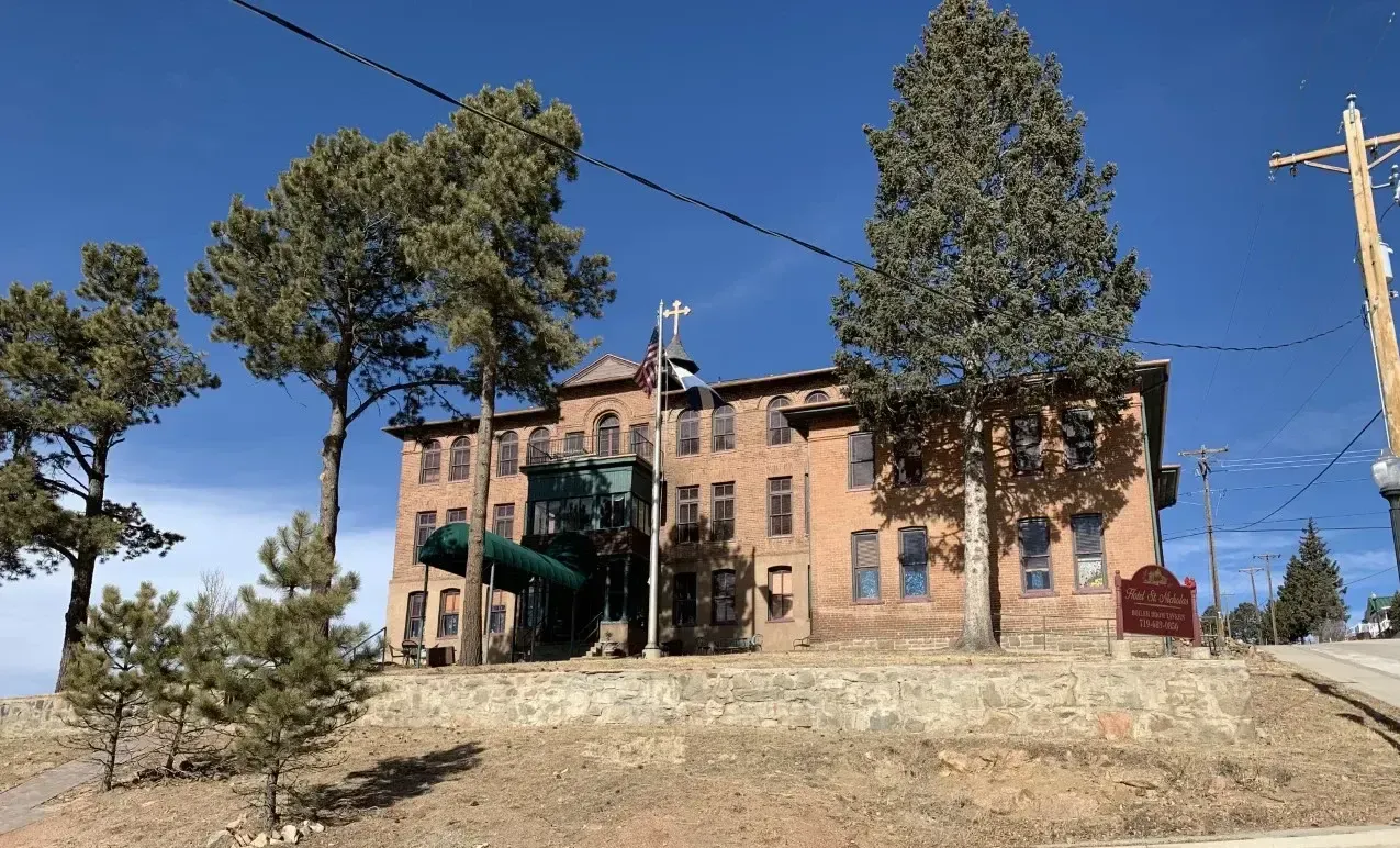A large building with a slide in front of it is surrounded by trees.
