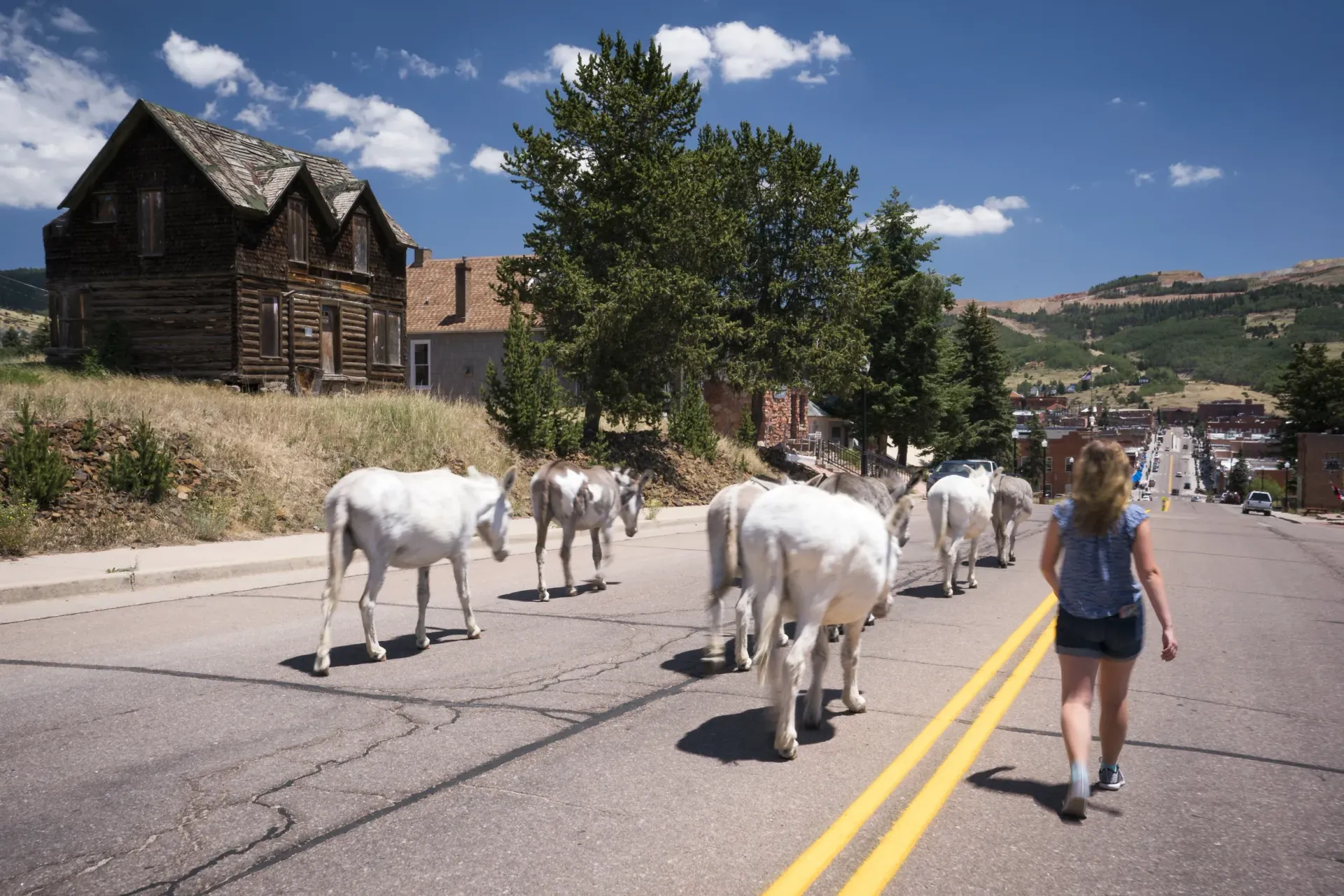 A woman walking down a street with a herd of horses