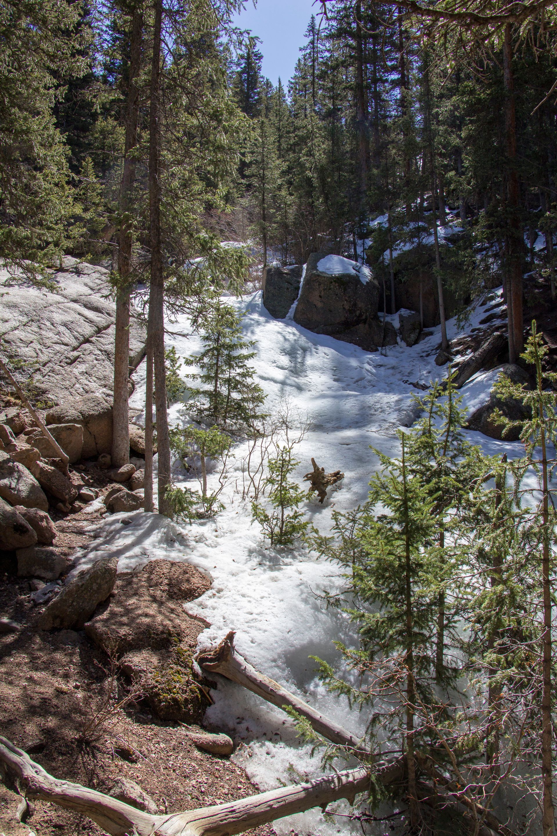 A waterfall in the middle of a snowy forest