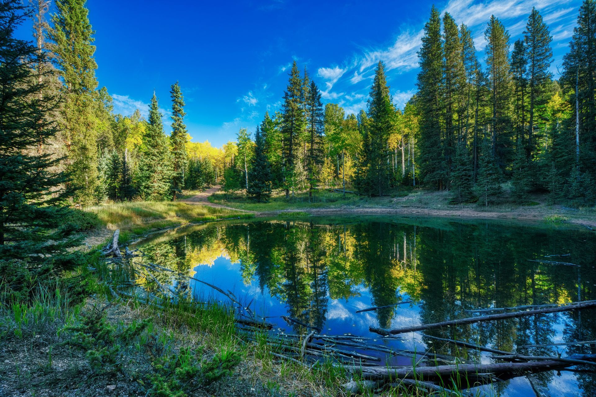 A lake in the middle of a forest with trees reflected in the water.