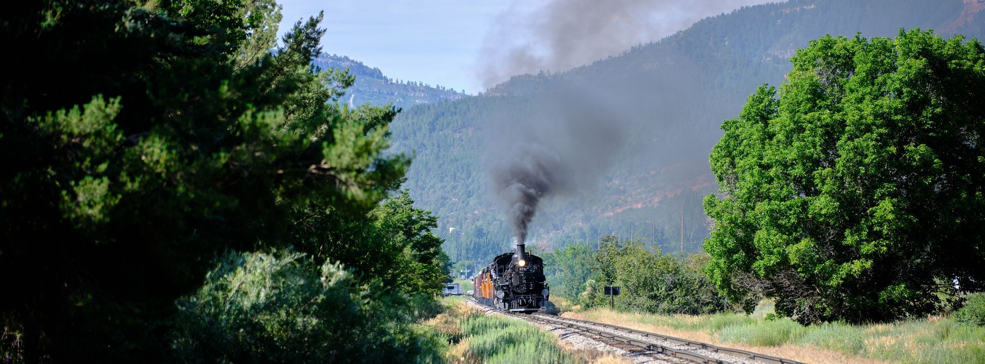 A train is going down the tracks in the woods.