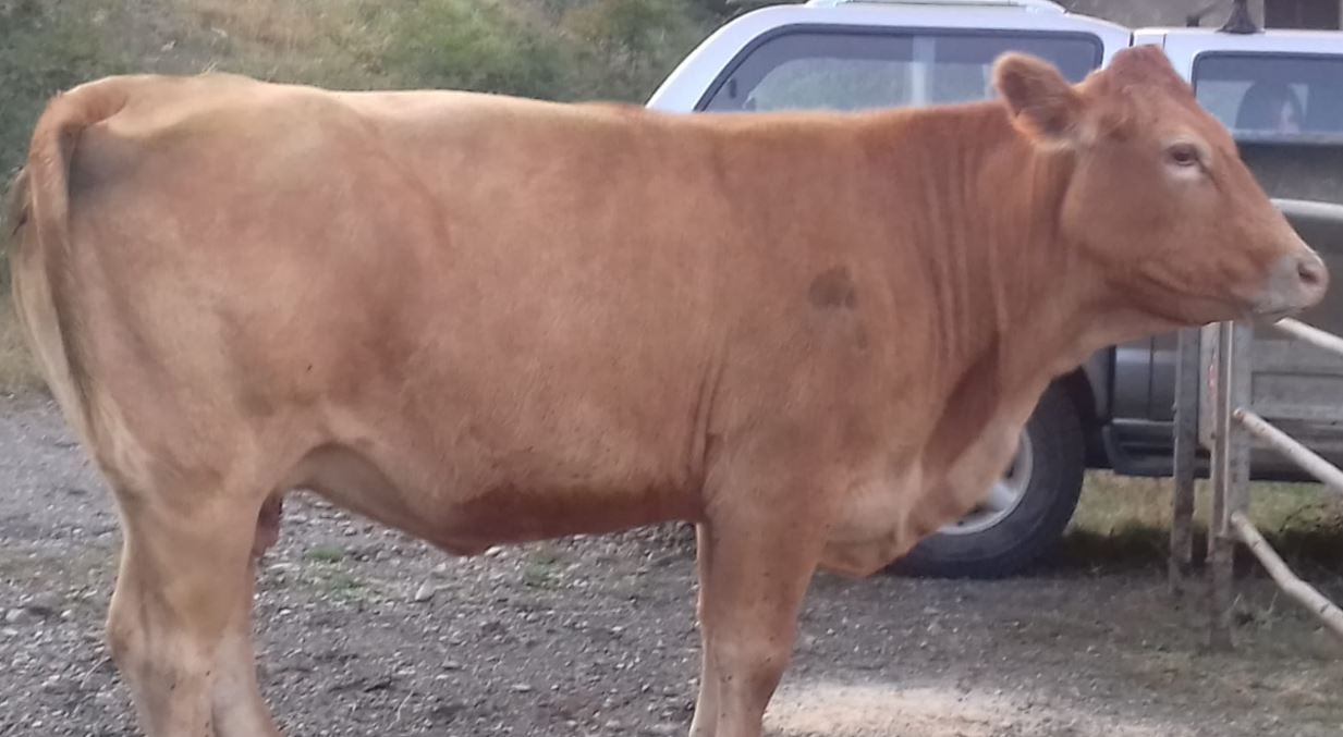 cooperativa di allevamenti biologici a Varese Ligure