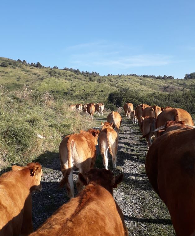 cooperativa di allevamenti biologici a Varese Ligure