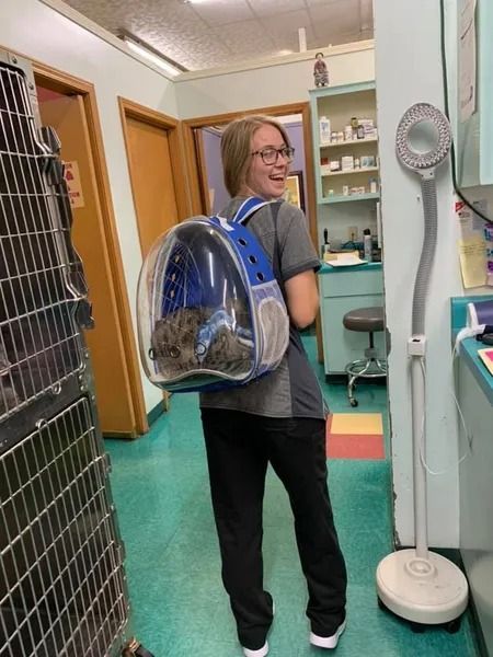 Person wearing a blue backpack carrier with a cat inside, in a vet clinic.