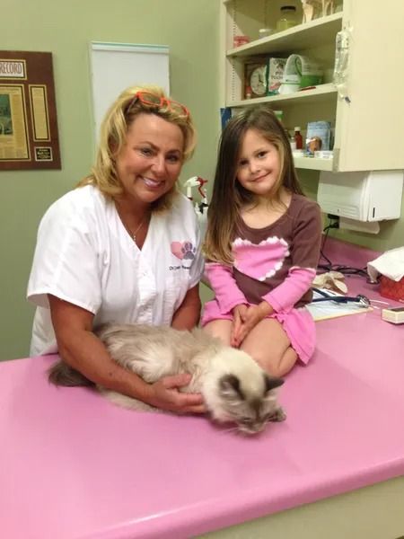 Veterinarian and young girl with a cat on an examination table. The cat is light-colored, and the table is pink.