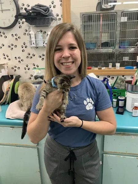 Woman in blue shirt smiles, holding a small tabby kitten. Indoor setting with vet supplies.