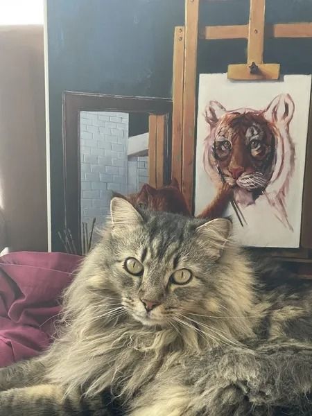 Fluffy cat with green eyes poses in front of a tiger painting on an easel.