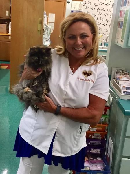 Woman in white lab coat holds fluffy cat, smiling in a clinic setting.