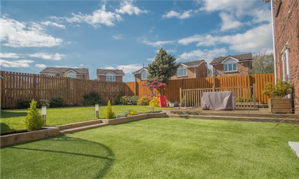 A backyard with a lush green lawn and a wooden fence.