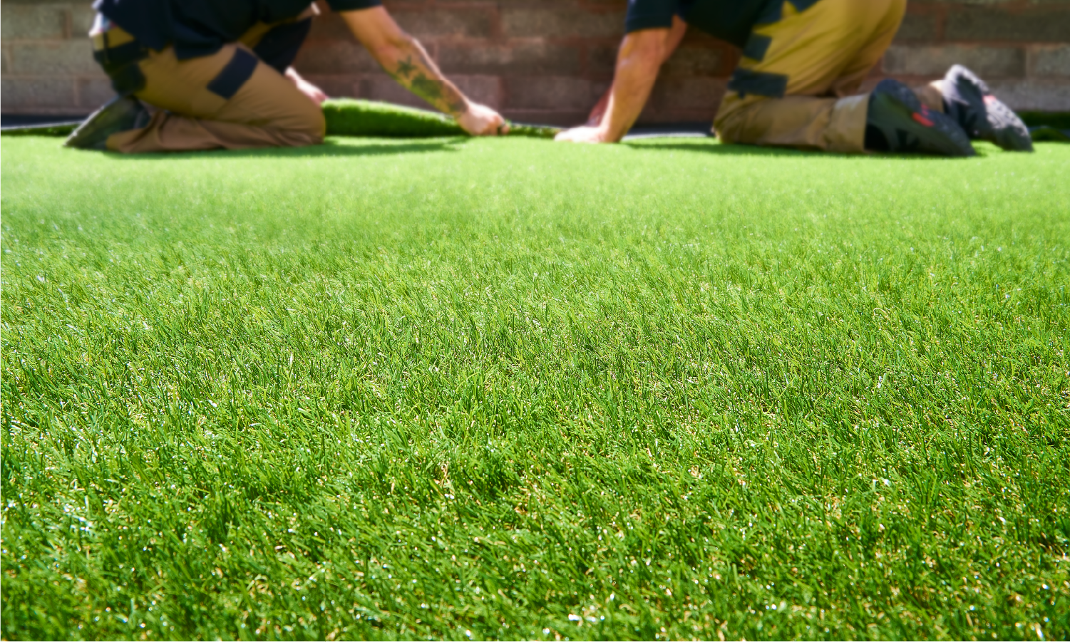 Two men are kneeling on top of a lush green lawn.