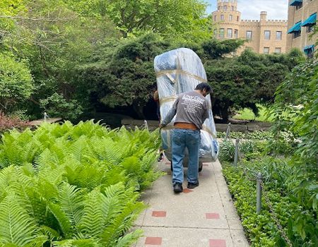 A person pulls a wrapped item on a dolly along a path, with greenery and a building in the background.