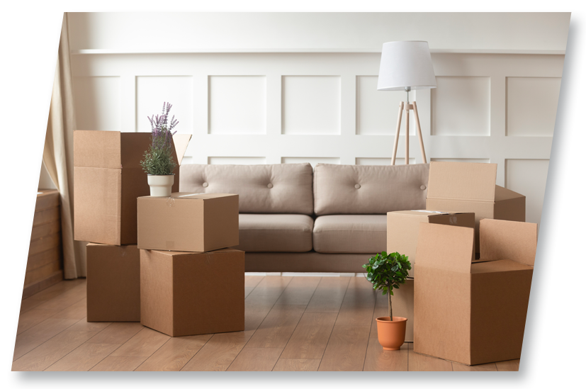 Cardboard boxes stacked in a living room, with a couch, potted plants, and lamp visible.