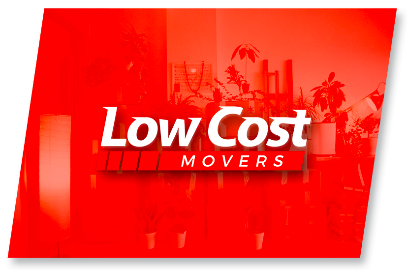 A man is cutting a tree with a chainsaw.