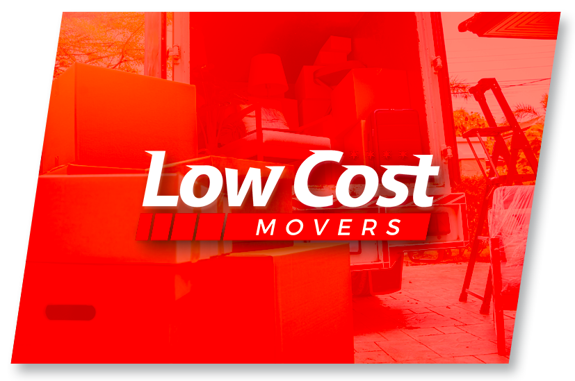 A man is cutting a tree with a chainsaw.