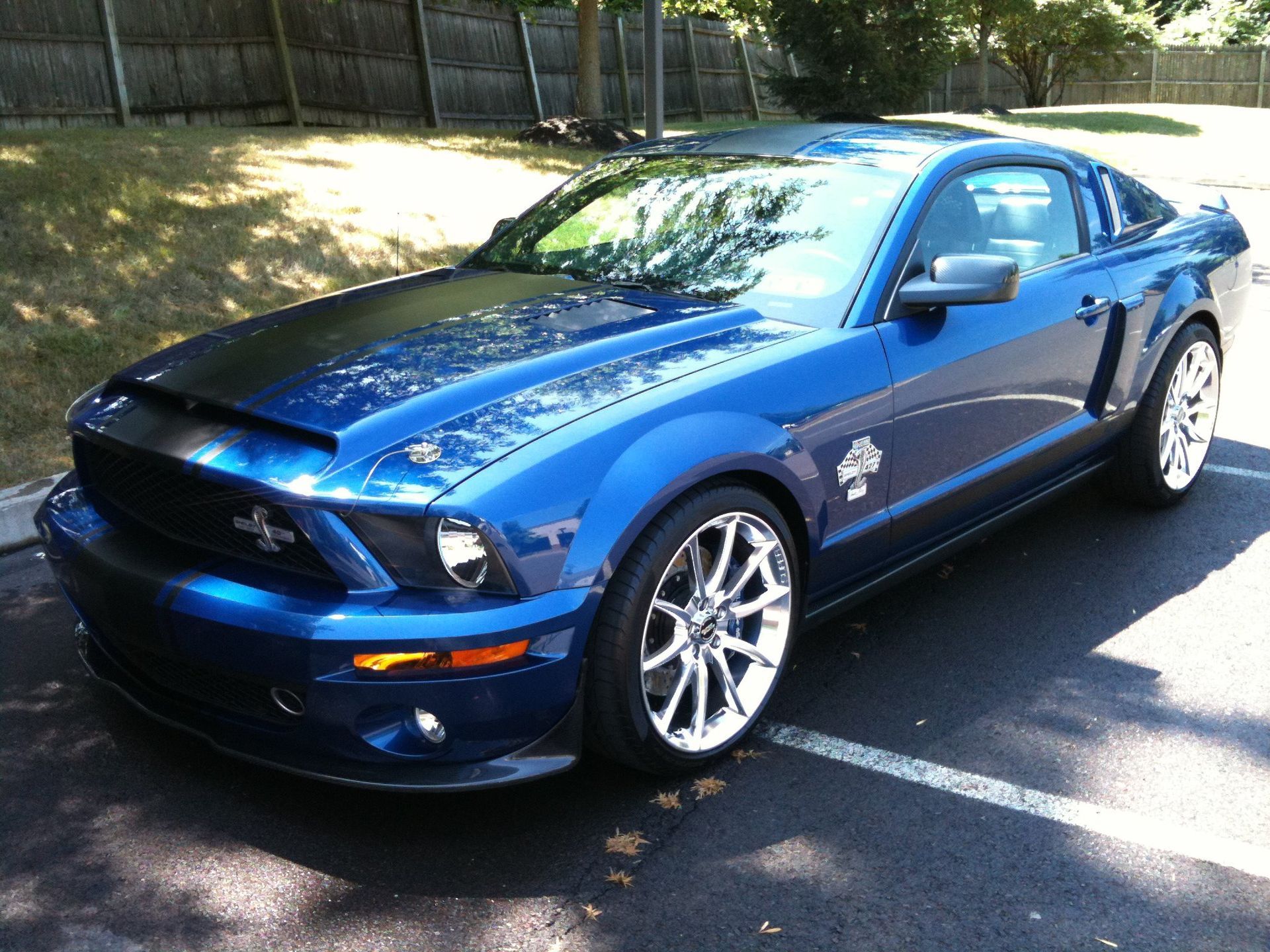 Black Ice Details & Coatings | blue mustang is parked in a parking lot