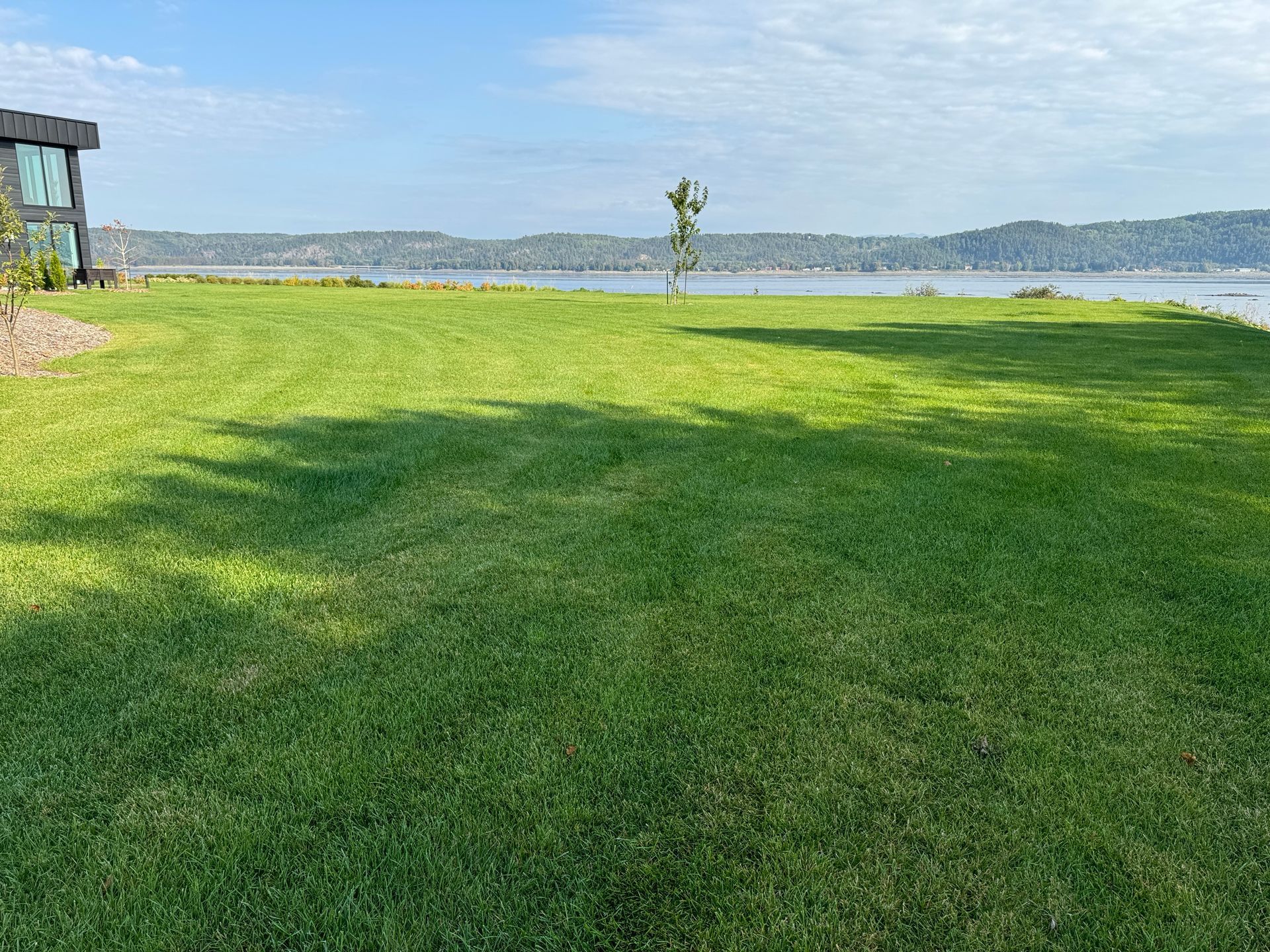 Une grande pelouse verte luxuriante avec une maison en arrière-plan et un lac en arrière-plan.